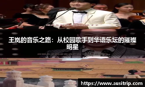 王岚的音乐之路：从校园歌手到华语乐坛的璀璨明星